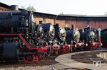 Vor dem Schuppen im Sächsischen Eisenbahn-Museum Chemnitz-Hilbersdorf präsentieren sich 43 001, 86 001, 44 1338, 58 261, 57 3297 und 75 515.  (19.08.2018) <i>Foto: Andreas Höfig</i>