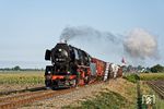 Am 1. und 2. September 2018 organisierte die Veluwsche Stoomtrein Maatschappij (VSM), eine Museumseisenbahn in Beekbergen/NL, wiedereinmal das größte Dampfzug-Festival in den Niederlanden unter dem Namen "Terug naar Toen" (Zurück nach Damals). Zum Einsatz kamen auch eine Vielzahl ehemals deutscher Lokomotiven, wie hier 50 0073 (ex 50 3666, ex 50 2145 der Societe Anglo-Franco-Belge des Ateliers de la Croyere, Baujahr 1943), aufgenommen bei Beekbergen.  (01.09.2018) <i>Foto: Marcus Henschel</i>