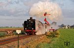 50 307 (Wiener Lokomotivfabrik AG, Wien-Floridsdorf, Baujahr 1940) - ex 50 3564 -  am Einfahrsignal von Beekbergen/NL. (02.09.2018) <i>Foto: Marcus Henschel</i>