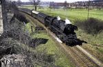 41 1078 (Bw Saalfeld) vor D 1012 bei Oberwellenborn.  (23.04.1973) <i>Foto: Robin Fell</i>