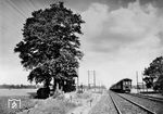 Ein Schnellzug hat den Schrankenposten 155 an der Ostbahn zwischen Landsberg (Warthe) und Kreuz passiert und entschwindet gen Osten. (1939) <i>Foto: RVM (Berkowski)</i>