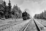 so lautet der offizielle Bildtitel. 03 044 vom Bw Königsberg (Pr) eilt mit einem Berliner Schnellzug nach Marienburg (Westpr) und hat gerade die Blockstelle Schölen zwischen Ludwigsort und Wolottnik passiert. Auffallend sind die kurzen 15m-Schienenstücke (Bauschienen) auf der zweigleisigen Hauptstrecke und die penibel gepflegten Brandschutzstreifen rechts und links der Bahn. Heute liegt das linke Gleis in russischer Breitspur 1520 mm, die Brandschutzstreifen sind zugewachsen.  (1938) <i>Foto: RVM (Berkowski)</i>