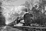 01 0502 mit D 337 aus Hamburg nimmt hinter Griebnitzsee im Düppeler Wald Schwung in Richtung Wannsee. (02.1975) <i>Foto: Karsten Risch</i>