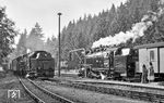 99 0231 mit P 69753 nach Schierke (rechts) wartet im Bahnhof Drei Annen Hohne den Gegenzug P 14404 aus Nordhausen ab. (1979) <i>Foto: Karsten Risch</i>