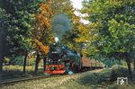 99 0231 mit P 69753 kurz vor Schierke. (10.1979) <i>Foto: Karsten Risch</i>