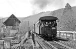 Der gut besetzte P 14447 verlässt Hasselrode und die Fahrgäste auf der letzten Plattform haben auch ihren Spaß. (04.1981) <i>Foto: Karsten Risch</i>