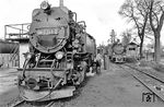 42 Jahre jünger als die rechts stehende 99 6102 war 99 0241, die 1956 beim Lokomotivbau Karl Marx, Potsdam-Babelsberg (LKM) entstand. Seit ihrer Indienststellung am 26.07.1956 ist sie auf der Harzquerbahn heimisch. Die Ölfeuerung erhielt sie 1979. (04.1981) <i>Foto: Karsten Risch</i>