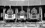Eigentlich kein echtes Ost-West-Treffen zwischen den Erfurtern 01 0519 und 01 0522 und der mittlerweile in Wuppertal beheimateten 24 009 in Bebra. 24 009 war erst ein halbes Jahr zuvor aus Güsten in den Westen verkauft worden.  (31.03.1973) <i>Foto: Gerhard Moll</i>
