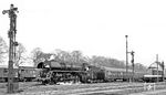 01 1516 (Bw Berlin Ostbf) fährt mit einem Schnellzug durch Lübben/Spreewald.  (1975) <i>Foto: Karsten Risch</i>