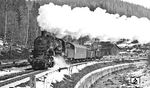 58 1758 an der Schwarzwasser bei Antonsthal. (02.1976) <i>Foto: Burkhard Wollny</i>