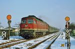 DR 132 426 vom Bw Wittenberge in Berlin-Spandau. (13.02.1978) <i>Foto: Lutz Hornung</i>