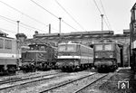 Neben den modernen Reichsbahn-E-Loks der Baureihe 242, (242 107 aus dem Jahr 1967 und 242 211 aus 1974) hat sich im Bw Halle P der Oldtimer 254 021 (E 94 021) aus dem Jahr 1940 gesellt. (02.08.1974) <i>Foto: Hans-Joachim Simon (Archiv Ludger Kenning)</i>