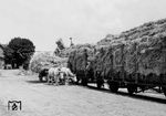 Strohverladung im Bahnhof Querfurt an der Bahnstrecke von Merseburg in Sachsen-Anhalt. (1942) <i>Foto: RVM (RBD Halle)</i>