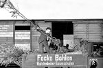 Verladung von Baumsetzlingen in Halstenbek zwischen Altona und Pinneberg. Der heute ungebräuchliche Name "Focko" ist übrigens ein alter ostfriesischer Vorname. (29.10.1936) <i>Foto: Walter Hollnagel</i>