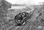 01 2204 (Bw Dresden) mit D 673 nach Dresden auf dem Berliner Südring bei Grünau kurz vor Schönefeld, übrigens das erste Dampflokfoto von Joachim Schmidt in der DDR. (04.08.1974) <i>Foto: Joachim Schmidt</i>