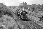 01 1514 (Bw Berlin Ostbf) mit D 370 "Pannonia-Express" zwischen Berlin-Schönefeld und dem Grünauer Kreuz auf dem Berliner Südring. (04.08.1974) <i>Foto: Joachim Schmidt</i>