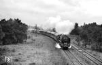 Die Ostbahnhofer 01 2114 biegt vor dem wohl damals berühmtesten Zug zwischen Berlin und Dresden, dem D 371 "Pannonia-Express" von Berlin-Ostbahnhof nach Sofia, am Abzweig Ostendgestell auf den Berliner Außenring ab. (08.1975) <i>Foto: Joachim Schmidt</i>