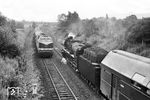 Die Leipziger 03 2236 begegnet mit D 561 den Leipziger Kollegen auf 118 124 auf dem Berliner Südring bei Altglienicke.  (19.07.1975) <i>Foto: Joachim Schmidt</i>