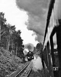 Höhepunkt der Dampfmitfahrt im D 1275 "Metropol" (Rostock - Dresden) war die Begegnung bei jeweils 120 km/h mit der entgegenkommenden 01 2207 vor dem Städteschnellverkehrszug D 1076 nach Berlin nahe Elsterwerda, der mit einem langen Pfiff der Kollegen quittiert wurde. In der Dämmerung stieß das damalige analoge Filmmaterial allerdings an seine Belichtungsgrenzen. (22.09.1977) <i>Foto: Joachim Schmidt</i>