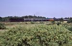 01 1515 (Bw Berlin Ostbf) mit D 370 "Pannonia-Express" bei Berlin-Karlshorst. (04.07.1976) <i>Foto: Dr. Uwe Knoblauch</i>
