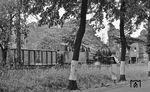 50 0072 (Bw Pasewalk) fährt aus Chorin. Die Lok ist heute noch beim Bayerisches Eisenbahnmuseum in Nördlingen im Einsatz. (07.1976) <i>Foto: Burkhard Wollny</i>