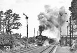 Im Juni und Juli 1977 wurde der Güterzug 52650 von Piesteritz nach Roßlau planmäßig mit einer Wittenberger 03 bespannt. Am 15. Juni 1977 bringt die Altbaukessellok 03 2067 den aus OOr47-Wagen gebildeten Zug in Klieken, einer Blockstelle mit Haltepunkt zwischen Coswig (Anh) und Roßlau, wieder in Fahrt. (15.06.1977) <i>Foto: Joachim Schmidt</i>