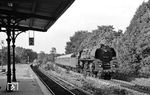 01 0510 (Bw Wittenberge) fährt mit D 336 nach Hamburg durch Berlin-Nikolassee. (07.1976) <i>Foto: Burkhard Wollny</i>