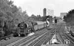 Gegen 18.00 Uhr fährt 01 0517 mit dem D 1333 aus Hamburg am S-Bahnhof Tiergarten vorbei.  (07.1976) <i>Foto: Burkhard Wollny</i>