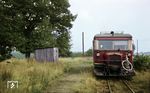 VT 133 524 am Rittergut Klosterhof. Hier lag zu Kleinbahnzeiten eine Haltestelle mit Standard-Wartehalle, beidseitig angebundenem Ladegleis und einer Ladestraße. Ende der 1940er Jahre brannte erst die Wartehalle ab, dann wurde das nach der Enteignung des Gutshofes überflüssige Ladegleis demontiert und auch von der Ladestraße war bald nichts mehr zu sehen. Bis zuletzt mußten die Fahrgäste am nunmehrigen Haltepunkt, der von lediglich zwei Wohnhäusern umgeben war, mit einer primitiven Wartebude vorliebnehmen.  (29.08.1967) <i>Foto: Klaus Kröber (Sammlung Ludger Kenning)</i>