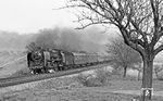 Und die bekannte Fotostelle nördlich von Weinböhla zum Dritten: Die Dresdner 01 2204 kachelt mit dem "Pannonia-Express" D 370 vorbei. (04.1976) <i>Foto: Burkhard Wollny</i>