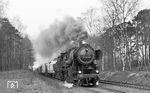 52 8130 (Bw Kamenz) mit einem Güterzug bei Großharthau. Die Lok entstand 1965 aus der 52 1143, die im August 1943 von der DWM an die RBD Posen geliefert wurde. (04.1976) <i>Foto: Burkhard Wollny</i>