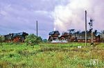 Fast hätte die Zugbegegnung zwischen 01 1512 vor E 315 (rechts) und der vor dem Einfahrsignal von Angermünde zum Halten gekommenen 01 0535 geklappt. Nur ein Baum verhinderte die perfekte Aufnahme.  (12.09.1978) <i>Foto: Joachim Bügel</i>
