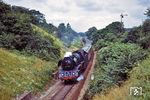 03 0075 mit D 555 (Barth - Erfurt) in Höhe des Einfahrsignals von Burg Stargard (Meckl), das wegen des Gleisbogens zur besseren Erkennbarkeit etwas abseits der Strecke stand. (06.07.1977) <i>Foto: Dr. Uwe Knoblauch</i>