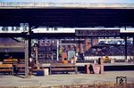 Im Bahnhof Neubrandenburg kreuzen die beiden Bahnlinien Berlin – Stralsund in Nord-Süd-Richtung und Güstrow – Stettin in Ost-West-Richtung. Dadurch war der Neubrandenburger Bahnhof schon immer ein Umsteigepunkt von überregionaler Bedeutung. Weiterhin gibt es die Bahnstrecke nach Friedland, auf der seit der Einstellung des regulären Personenverkehrs im Jahr 1994 noch gelegentlich Sonderzugfahrten angeboten werden. Bis 1945 war Neubrandenburg außerdem der Ausgangspunkt der Mecklenburgischen Südbahn in Richtung Waren/Müritz–Parchim. Neubrandenburg war neben Cottbus und Frankfurt (Oder) eine der wenigen Bezirksstädte der DDR, die nicht vom Städteexpress der Deutschen Reichsbahn angefahren wurden. Zur Reichsbahnzeit besaß Neubrandenburg auch ein Bw, das 1997 geschlossen wurde. (12.10.1977) <i>Foto: Dr. Uwe Knoblauch</i>
