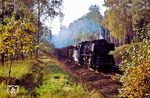 50 0041 (ex 50 2660 vom Bw Angermünde) mit dem nächsten Zuckerrübenzug bei Melchow zwischen Bernau und Eberswalde. (14.10.1977) <i>Foto: Dr. Uwe Knoblauch</i>