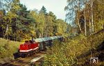 DR 110 428 (ab 1981: 112 428, ab 1992: 202 428) mit einem Personenzug nach Berlin-Lichtenberg bei Melchow. (14.10.1977) <i>Foto: Dr. Uwe Knoblauch</i>