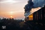 41 1303 fährt mit Ng 61504 in den Sonnenaufgang bei Sponholz. (12.10.1977) <i>Foto: Dr. Uwe Knoblauch</i>