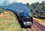 01 2069 (Bw Dresden) räuchert vor D 673 nach Dresden durch die Berliner Wuhlheide. (03.07.1977) <i>Foto: Dr. Uwe Knoblauch</i>