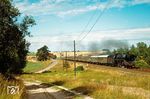 03 0074 mit D 715 in der Uckermark bei Seehausen auf dem Weg nach Berlin. (03.07.1977) <i>Foto: Dr. Uwe Knoblauch</i>