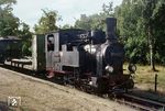 Nur selten wurde die neubekesselte 99 4503 (Hartmann, Baujahr 1900) noch angeheizt. Im Sommer 1968 war die Lok vor dem Zug 4480 (Glöwen ab 8.21 Uhr) nach Havelberg zu erleben. Das Seil der Heberleinbremse führt unter dem Stangenwagen hindurch zum ersten Personenwagen.  (10.06.1968) <i>Foto: Sammlung Ludger Kenning</i>