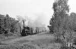 Auf Antrag der Gemeinde Dahlen mit ihren 13 Gehöften und einer Ziegelei wurde am 5.11.1948 der Haltepunkt Dahlen eröffnet. Hier verlassen drei junge Damen den samstagmittäglichen Zug 4483 nach Glöwen. Der längst nicht mehr bediente Ziegeleianschluß im Vordergrund wächst immer mehr zu.  (19.09.1970) <i>Foto: Hans-Joachim Simon (Archiv Ludger Kenning)</i>