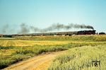 03 0020 mit D 715 südlich von Prenzlau. (25.06.1977) <i>Foto: Dr. Uwe Knoblauch</i>