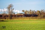 41 1125 mit einem Güterzug bei Neubrandenburg. Während die DB es tunlichst vermied, mit Dampfloks rückwärts zu fahren (Ausnahme waren hier wohl nur die Loks der Baureihen 23 und 50, die rückwärts auch 80 bzw. 85 km/h [BR 23] fahren durften), war es bei der Reichsbahn durchaus üblich, die Zugleistungen Tender voraus zu fahren. Möglicherweise lag es an den geringeren Streckenhöchstgeschwindigkeiten, bei denen die Geschwindigkeit von 50 km/h ausreichte. (16.10.1977) <i>Foto: Dr. Uwe Knoblauch</i>