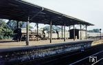 01 0527 (Bw Wittenberge) fährt mit D 337 durch den S-Bahnhof Berlin-Grunewald. (1975) <i>Foto: Karsten Risch</i>