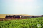 03 0010 fährt mit D 552 (Erfurt – Stralsund) durch die Uckermark bei Greiffenberg, nördlich von Angermünde. (13.10.1977) <i>Foto: Dr. Uwe Knoblauch</i>