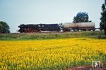 50 0034 (Bw Angermünde) mit einem Kesselwagenzug bei Rüdnitz, nördlich von Bernau (b Berlin).  (24.06.1977) <i>Foto: Dr. Uwe Knoblauch</i>