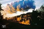 Im goldenen Abendlicht fährt eine 41er bei Wegenstedt nach Magdeburg. (04.1978) <i>Foto: Dr. Uwe Knoblauch</i>