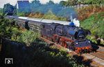 35 1001 vom Bw Lutherstadt Wittenberg mit P 3517 (Berlin-Schöneweide – Lu Wittenberg) durcheilt den Berliner Vorort Altglienicke.  (22.08.1976) <i>Foto: Dr. Uwe Knoblauch</i>