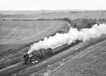 01 1512 mit einem Sonderzug anlässlich des Jubiläums "100 Jahre RBD Erfurt" bei Siersleben. Im Vordergrund verläuft das Gleis der Mansfelder Bergwerksbahn. (12.06.1982) <i>Foto: Joachim Schmidt</i>