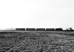 132 132 bringt die ausgemusterten 01 0510, 0513, 0517 und 0519 nach Greifswald. Die ehemaligen Saalfelder Loks waren aufgrund des Ölmangels nutzlos geworden und im Laufe des Jahres 1981 im Grenzbahnhof Gerstungen abgestellt worden. Das DDR-Grenzgebiet wurde bewußt gewählt, war es doch für Normalbürger unzugänglich, denn mittlerweile war gerade der Schrottklau wegen der hohen Preise für sog. Sekundär-Rohstoffe recht massiv und es bestand die Gefahr, das länger abgestellte Loks regelrecht geplündert wurden. Die Loks sollten in Greifswald nach Umbau auf Rostfeuerung als Heizprovisorium dienen, hier unterwegs bei Klein-Bünzow, nördlich von Anklam. (23.10.1982) <i>Foto: Joachim Schmidt</i>